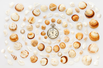 composition of exotic sea shells and antique watches on a white