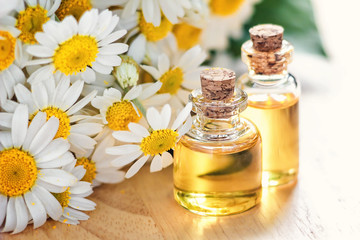 Essential oil in glass bottle with fresh chamomile flowers, beauty treatment. Spa concept. Selective focus. Fragrant oil of chamomile flowers, macro on wooden table horizontal. 