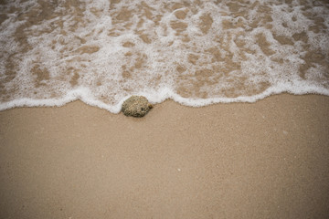 Soft wave of blue ocean on sandy beach. Background.