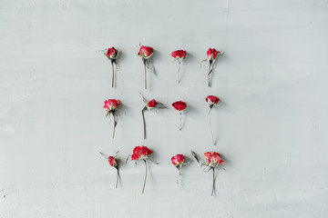 red roses on grey concrete background. flat lay, top view