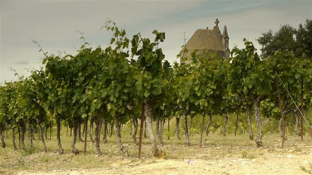 Old religious domes and vineyards, Languedoc France