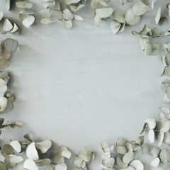 round frame wreath pattern with eucalyptus branches and leaves isolated on concrete background. flat lay, top view