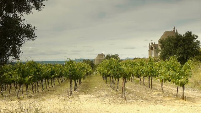 Vineyards at old religious domes, Languedoc France