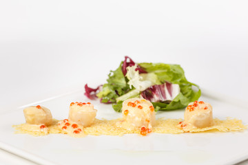 beautiful appetizer on a white background