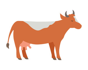 Cow Flat Design Vector Illustration on White.
