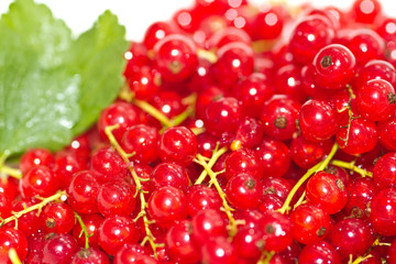 Rote Johannisbeeren