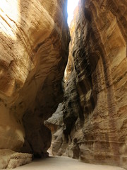 Siq - die Felschlucht von Petra II