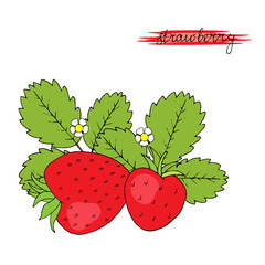 Hand drawn strawberries.