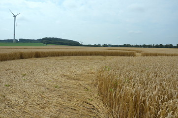 Kornkreis - Crop Circle