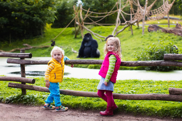 Kids watching animals at the zoo