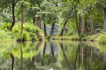 Spreewald mit Wasserspiegelung