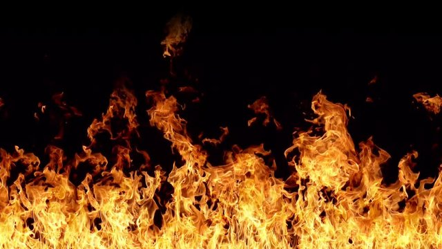 Flames shot with a high speed camera. This video works great as a background or as a design element that can be used in your own videos or animations because the flames are tilable from the left to right so that you repeat the video side to side to make it as wide as you want. And this video also seemlessly loops so that you can have the flames play for any length needed.

You can easily composite the flames over your own footage by using the Add or Screen transfer mode in your editing or compositing program or editing software.