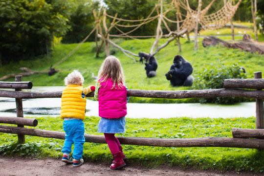 Kids watching animals at the zoo - Powered by Adobe