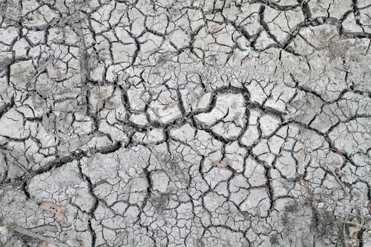Cracked earth during a drought, the background image for the art