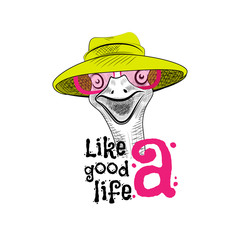 head ostrich keep calm