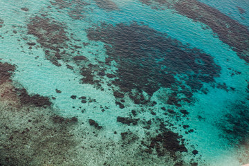 Naklejka premium Parasailing over tropical sea, bright colors