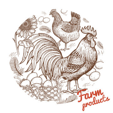Vector illustration of a rooster, chicken, basket with eggs, sun