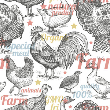 Seamless pattern with poultry and inscriptions