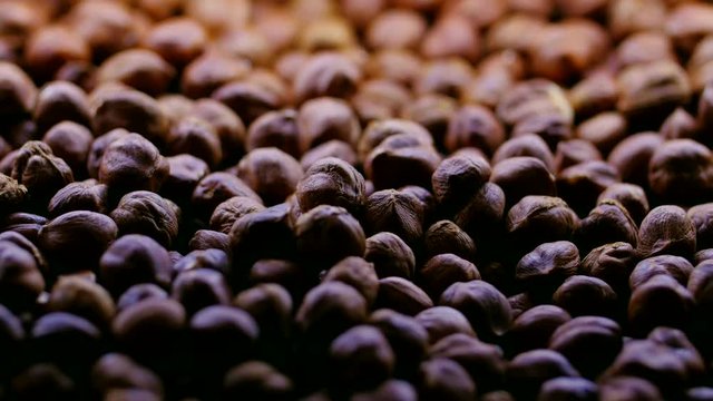 background of the hazelnut