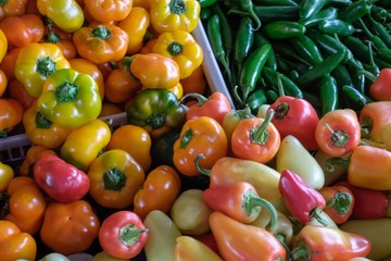 Assorted Red Yellow and Green Fresh Peppers and Jalapenos at Farmers Market