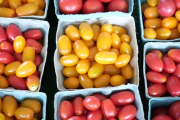 Fresh Picked Yellow and Red Grape Tomatoes in Containers at Farmers Market