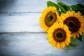 
Summer background with sunflowers