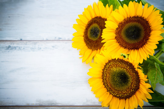 background with three sunflowers on wood