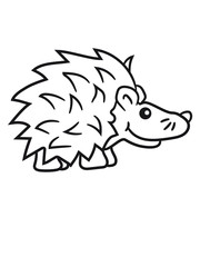 goad baby comic cartoon sweet little cute hedgehog