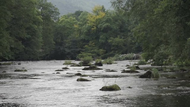 River Dee In Late Summer. End of summer river shot on the banks of the River Dee. Filmed in the UK.