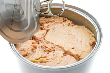 Thunfisch isoliert