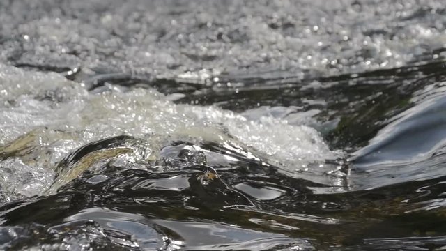River Water In Slow Motion