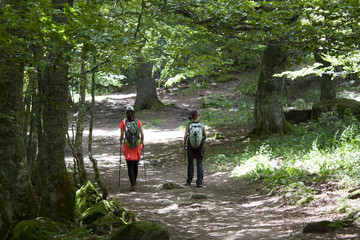 Obraz premium walker girls hiking in the middle of the forest in a sunny day