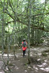 Obraz premium Girl walking in the middle of a forest in summer in a sunny day