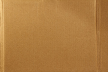 Cardboard