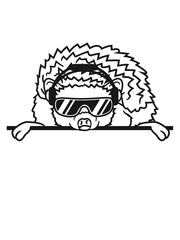 shield dj party mischpult disco sunglasses cool headphones funky hang music, dancing comic cartoon sweet little cute hedgehog