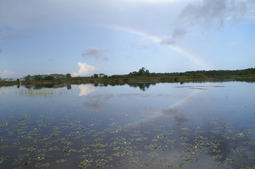 Rainbow reflecting in pond