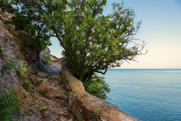 Trail Golitsyn - Falcon Path a mountain pathway carved on the side of Koba-Kaya