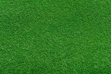 Obraz na płótnie Canvas real green grass background
