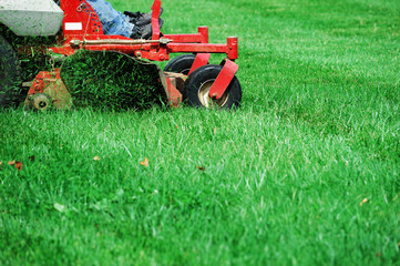 mowing the lawn - obrazy, fototapety, plakaty