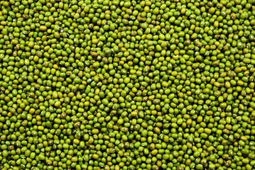 fresh mung beans background