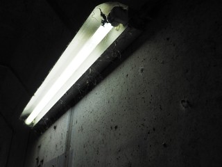 トンネルの蛍光灯