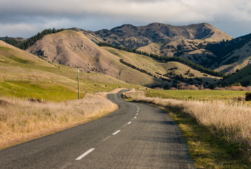 country road meandering across grassy hills in New Zealand