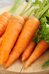 Fresh young carrot