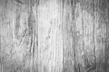 the white real wood background