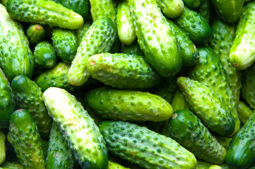 The image of fresh cucumber on a wooden table