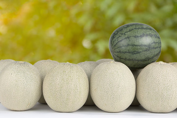 Variety asian Cantaloupe and melons