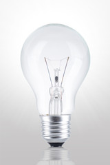 Light Bulb in white background