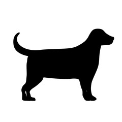 cute dog isolated icon design, vector illustration  graphic