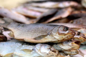 dried fish background