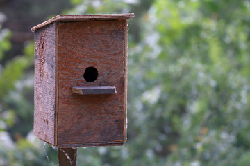 wooden birdhouse